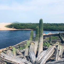 Lagoa da Coca-Cola vista da margem, água escura e vegetacao de restinga